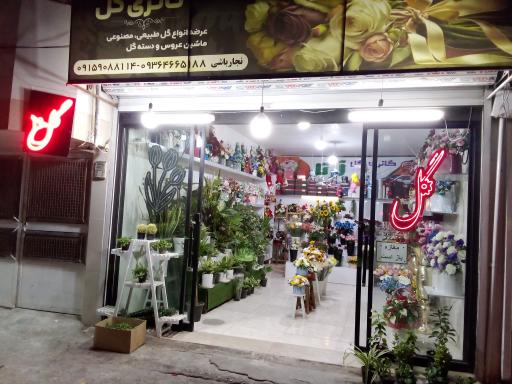 عکس گالری گل آرتا