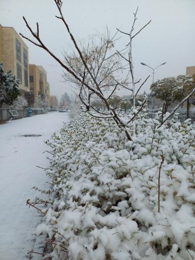 عکس دانشگاه آزاد مشهد دانشکده مهندسی