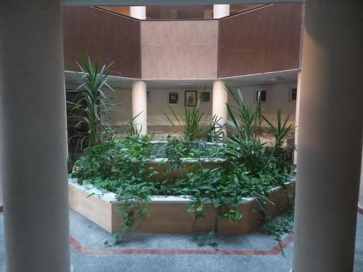 عکس خوابگاه مرکزی امید