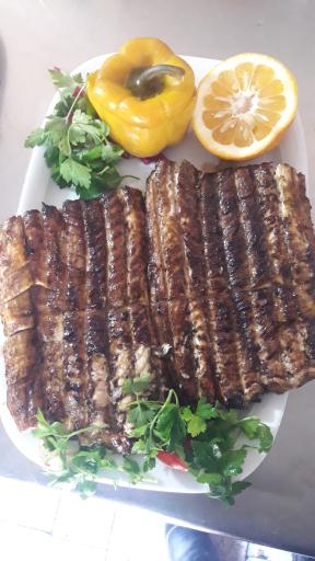 عکس ماهی سرای گوهر