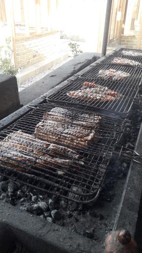 عکس ماهی سرای گوهر