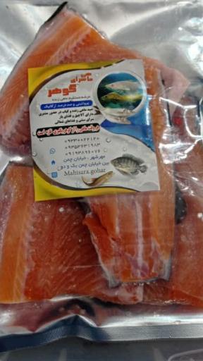 عکس ماهی سرای گوهر