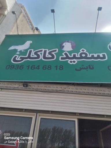 عکس پخش دان پرنده گان