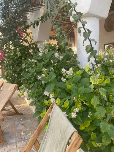 عکس اقامتگاه بومگردی مهرغ