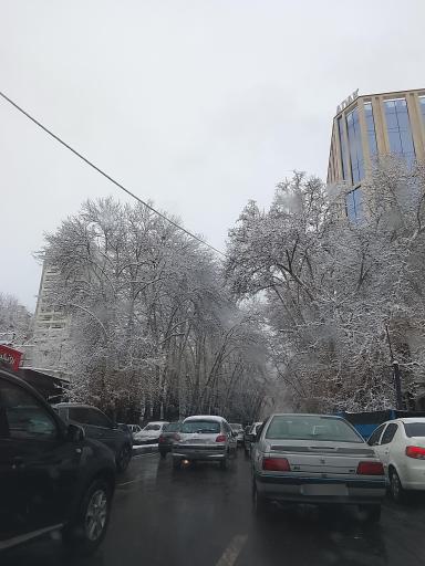 عکس پل پارک وی