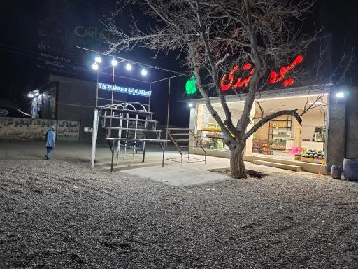 عکس میوه مجتهدی