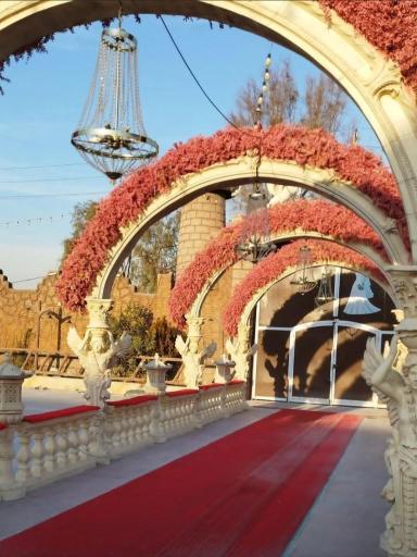 عکس باغ تالار امیر علی
