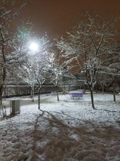 عکس پارک عرفان