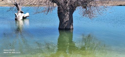 عکس تفرجگاه مهرابگی