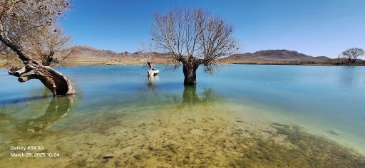 عکس تفرجگاه مهرابگی