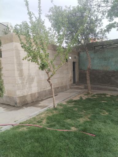 سرویس بهداشتی