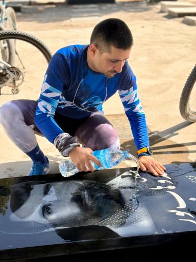 عکس مزار محمد وهاب پور