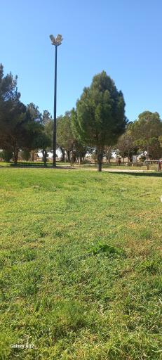 عکس بوستان بعثت