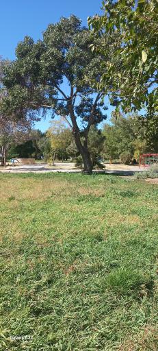 عکس بوستان بعثت