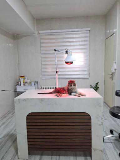 عکس دامپزشكى سترا