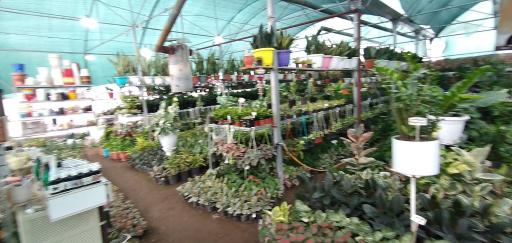 عکس گلخانه بزرگ فاتحی