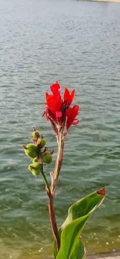عکس دریاچه مصنوعی عینالی (داغ گولی)