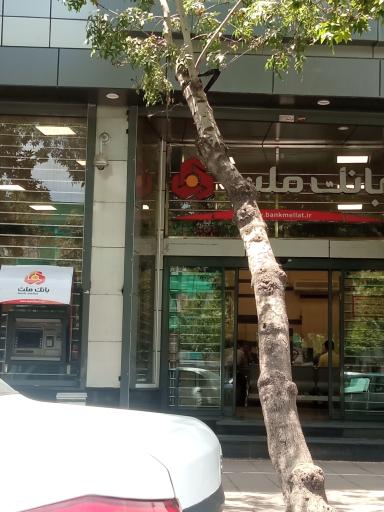 عکس بانک ملت