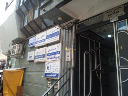 عکس دکتر هانیه همت پور جراح دندانپزشک 