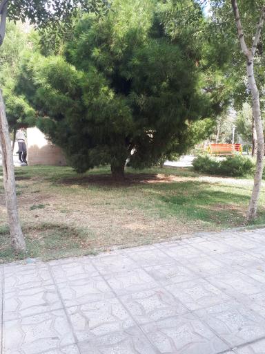 عکس بوستان جوادالائمه (ع)