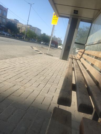 عکس امام رضا  3