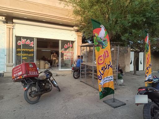 عکس دان پرندگان