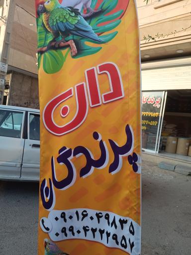 عکس دان پرندگان