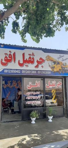 عکس جرثقیل افق گلستانی