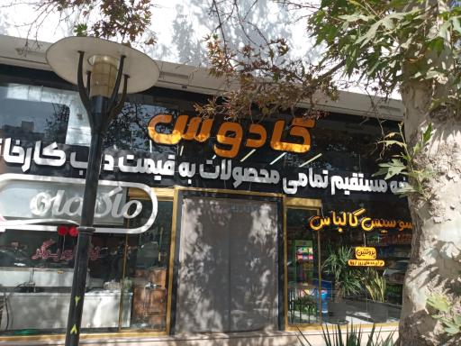 عکس پروتئین و ساندویچ سرد و گرم کادوس