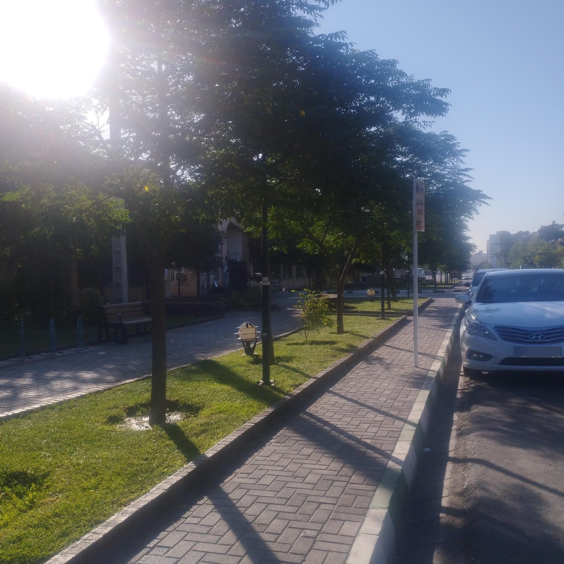 عکس پارک خطی
