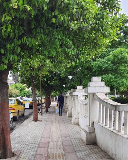 عکس پارک شهرداری