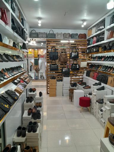 کیف و کفش زرین