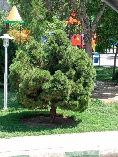 عکس بوستان جوادالائمه (ع)