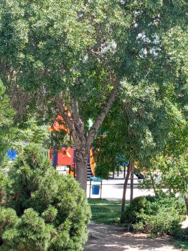 عکس بوستان جوادالائمه (ع)