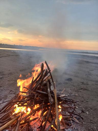 عکس ساحل اوشیان