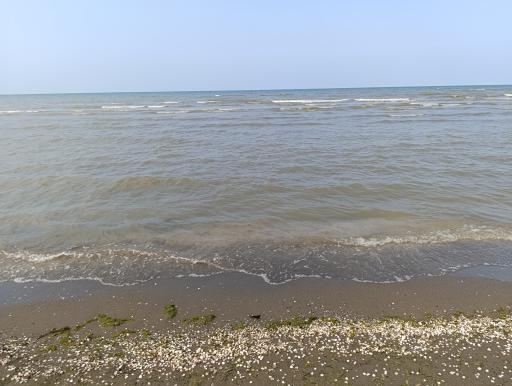 عکس ساحل اوشیان