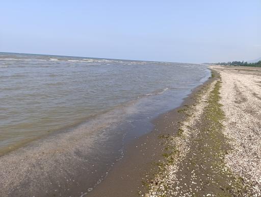 عکس ساحل اوشیان