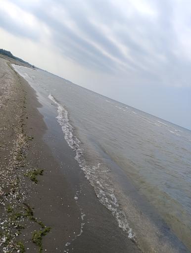 عکس ساحل اوشیان