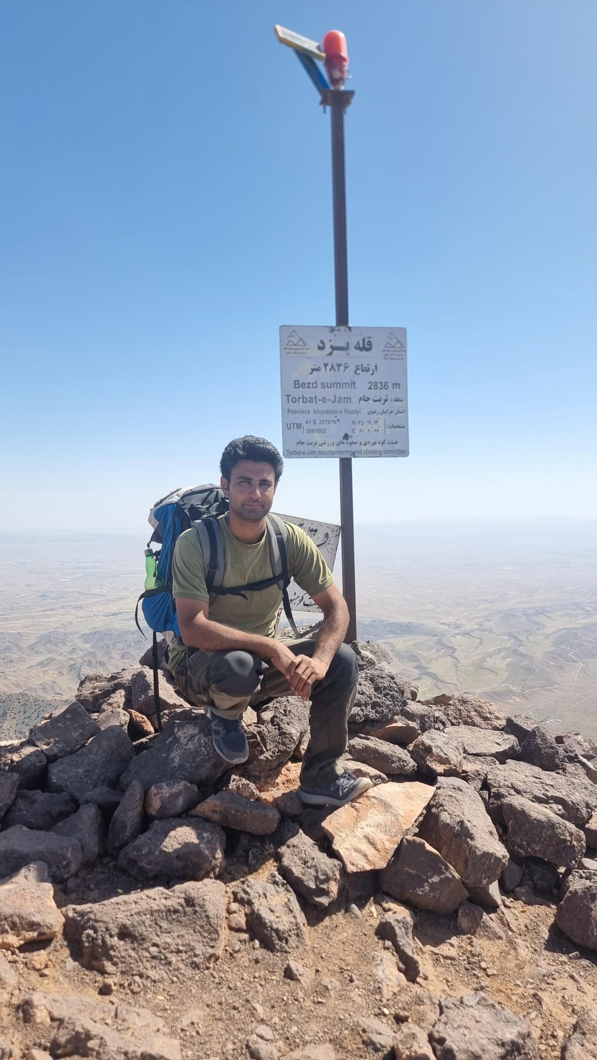 عکس جنگل ارس بزد