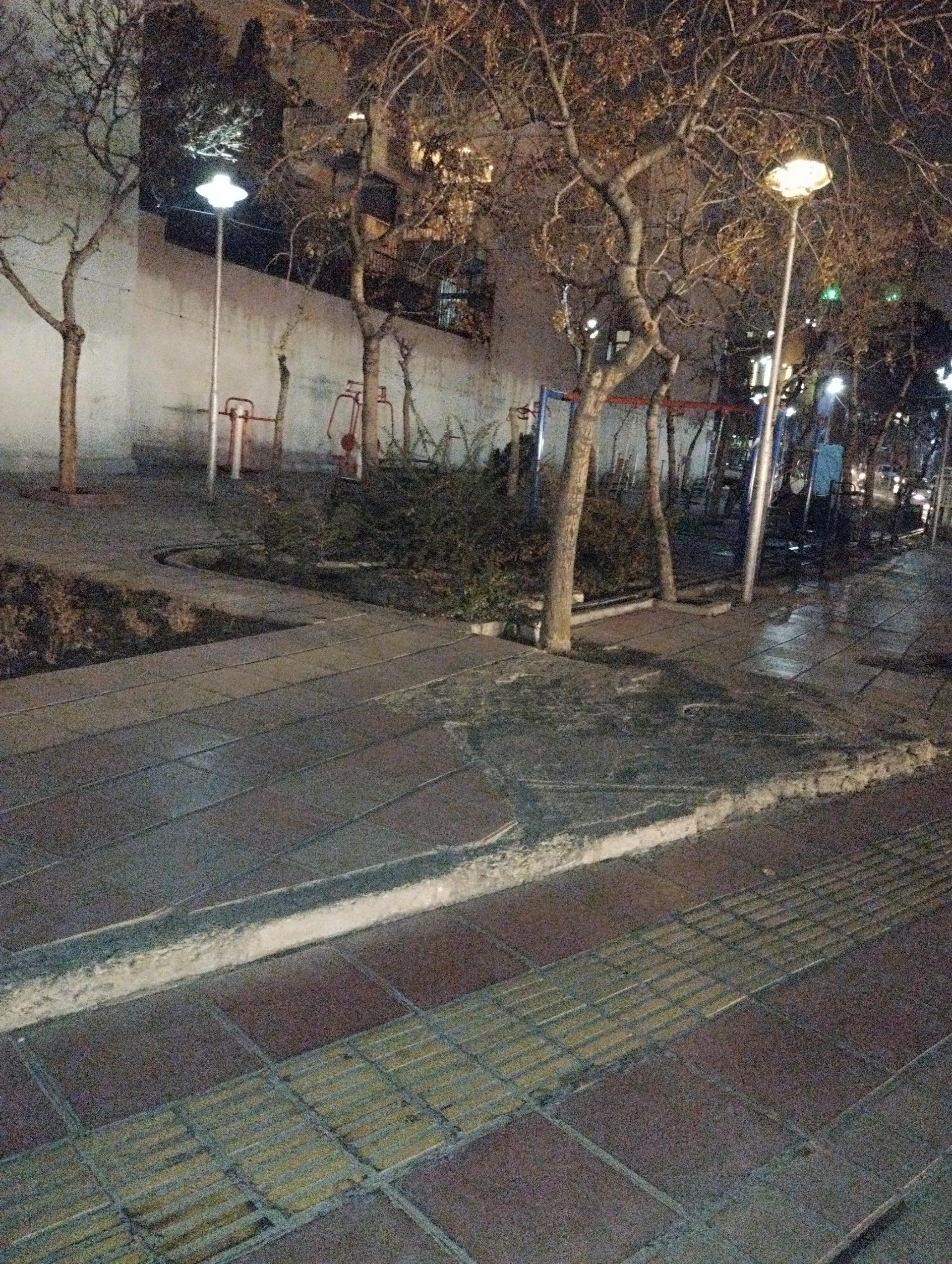 عکس بوستان جویبار