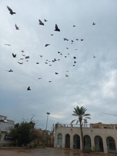 عکس مدرسه ماندگار سعادت (مظفری)