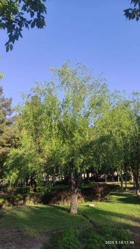 عکس پارک آزادگان