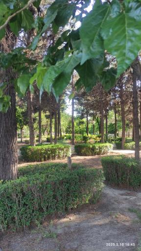 عکس پارک آزادگان