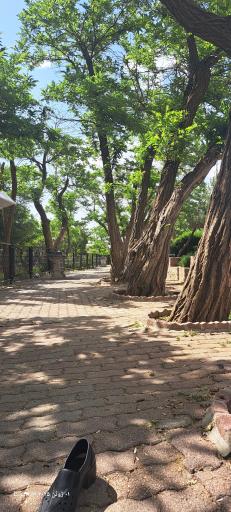 عکس مجتمع تفریحی گردشگری عباس آباد