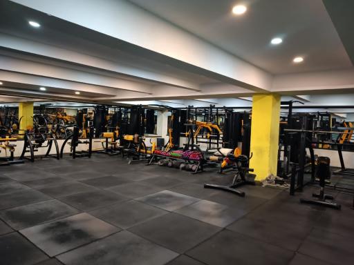 عکس باشگاه بدنسازی اکسیر (برتر)