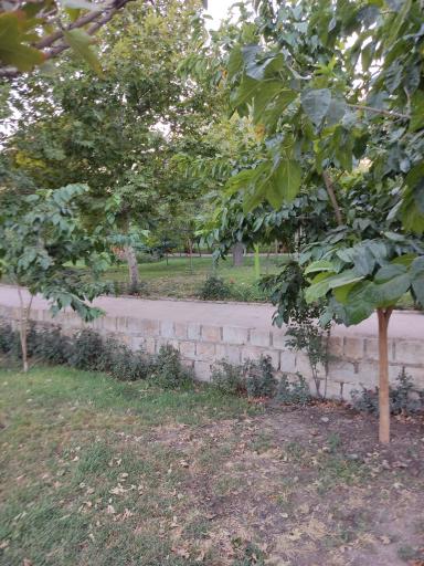 عکس پارک آزادگان