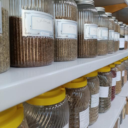 عکس گیاه درمانی ابودارو