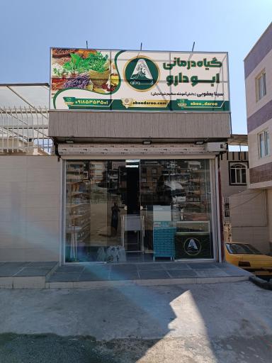 عکس گیاه درمانی ابودارو