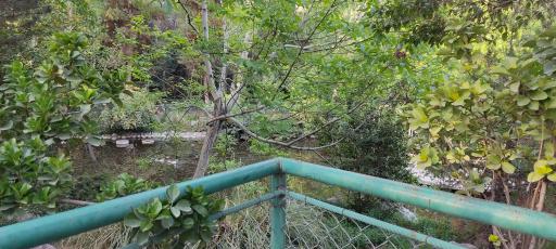 عکس پارک شهرک صدرا