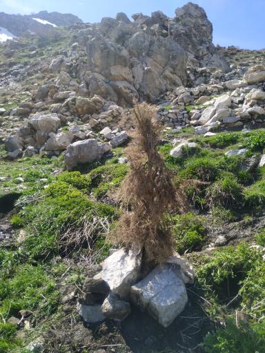 عکس کوه مالیموس